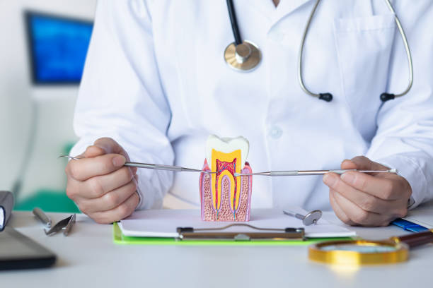 Best Emergency Orthodontic Services in West Baraboo, WI